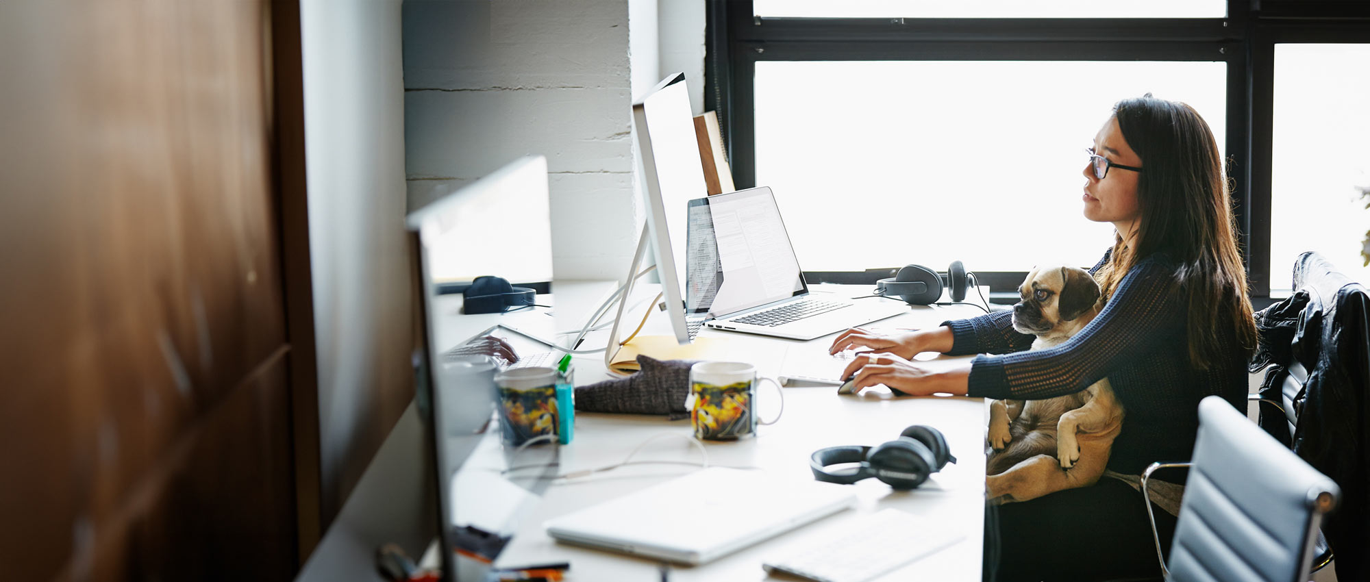 girl working in office with laptop and dog on her lap